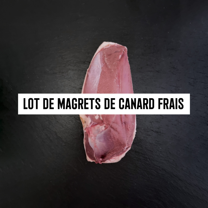 Lot de magrets de canard frais